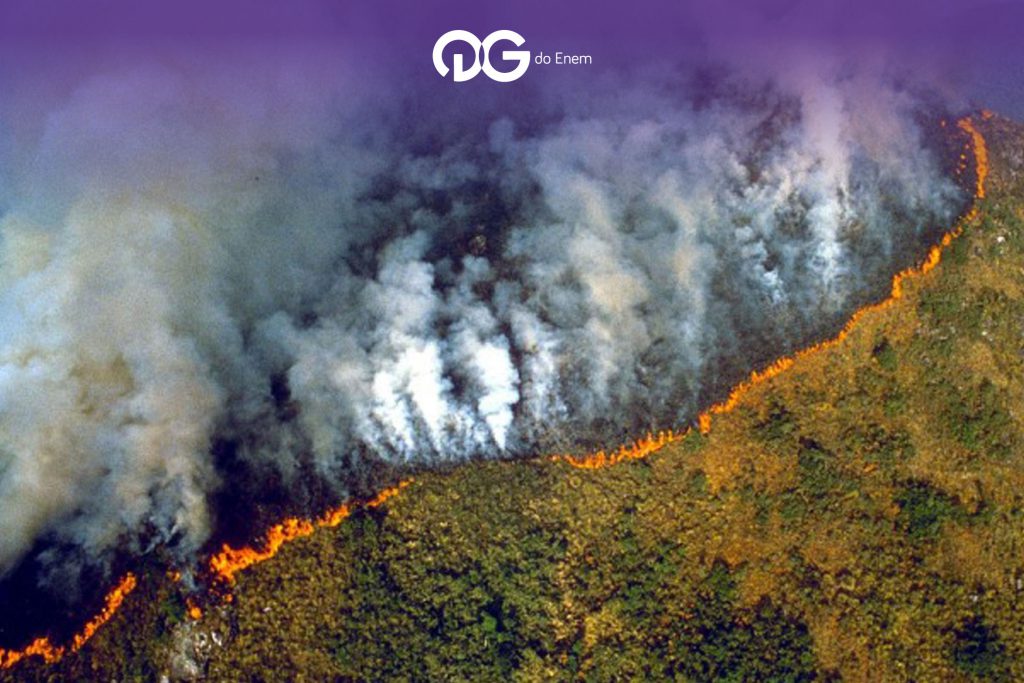 incêndio na Amazônia